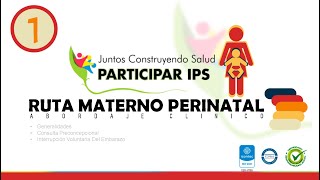 Resolución 3280  Ruta Materno Perinatal  Video 1 [upl. by Ahsienaj]