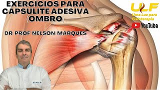 Exercícios para Capsulite Adesiva Ombro  Dr Prof Nelson Marques [upl. by Dadelos]