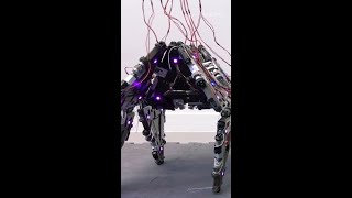 Mori3 from Reconfigurable Robotics Lab is a shapeshifting and modular origami robot  TechCrunch [upl. by Elagibba674]