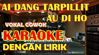 KARAOKE AI DANG TARPILLIT AU DI HO  Ciptaan Nurcahaya Manurung [upl. by Goldy323]