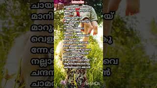 Kanakanmaniyoutubeshortsmusiclyricsmalayalamsonglyrics love lovesongmalayalamyoutubelikesub [upl. by Wende]