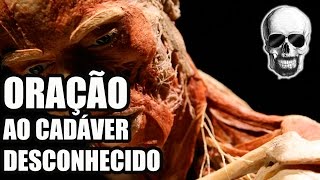 28  Oração ao Cadáver Desconhecido  Uma Lição de Respeito [upl. by Schug388]