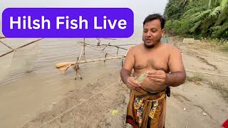 Big Size Hilsa Fish Catching in River Amazing Style [upl. by Emelina883]