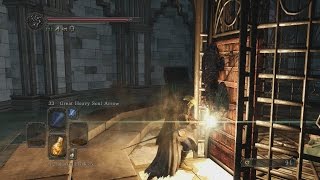 Using the Key to the Embedded  Dark Souls 2 Scholar of the First Sin [upl. by Asiilanna496]