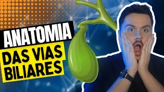 Resumão de Anatomia das Vias Biliares [upl. by Quince]