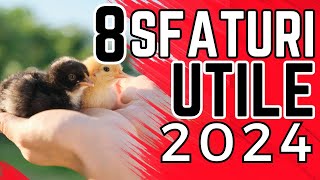 8 Sfaturi de Aur pentru Puii de O Zi în 2024 [upl. by Seth733]