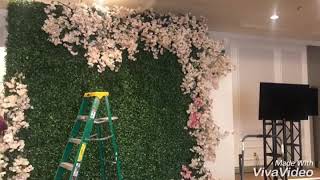 Boxwood hedge and bougainvilleas wall for backdrop [upl. by Calvinna]