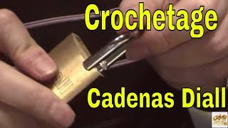 👉 Crochetage Cadenas Diall [upl. by Retrop]