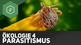 Parasitismus – Ökologie 4 [upl. by Rosenblum556]