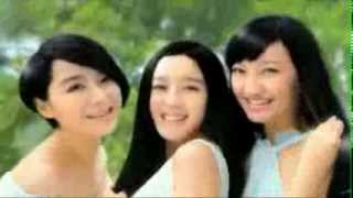 hair care China TV commercial Ad [upl. by Adnilim]