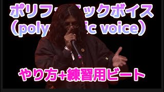 【beatbox】ポリフォニックボイスのやり方練習用ビート（polyphonic voice） [upl. by Yblocaj]