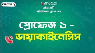 ০২৯ অধ্যায় ২  কোষ বিভাজন প্রোফেজ ১ ডায়াকাইনেসিস Prophase 1 – Diakinesis [upl. by Treulich612]