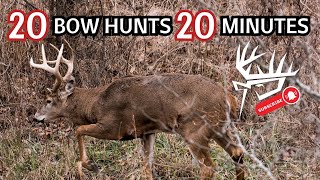 20 Bow Hunts 20 Minutes [upl. by Nemad]