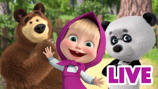 ماشا والدب 👱‍♀️ LIVE STREAM 🤗🐼 تعرفني، أعرفك 🤗🐼 Masha and the Bear [upl. by Nobile]