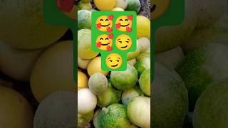 Muskmelon fruit 🥰🥰🥰🥰fruit islandvisits love [upl. by Lathrop]