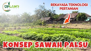 Cuma Butuh 40 Hari  Sulap Lahan Tandus Menjadi Sawah Palsu‼️Rekayasa Pertanian  UPLAND Project [upl. by Ttirrej157]