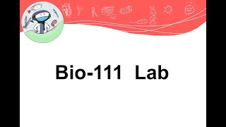 Biology Lab [upl. by Muhcan]