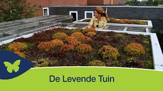 De Levende Tuin [upl. by Sublett]