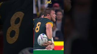 Duane Vermeulen OFFLOAD 🔥 Springboks vs Wales [upl. by Gwenn]