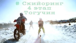 Скийоринг 4 этап Тогучин  skijoring [upl. by Horatio]