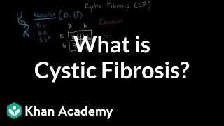 What is cystic fibrosis  Respiratory system diseases  NCLEXRN  Khan Academy [upl. by Ecinwahs]