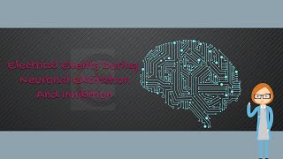 Electrical Events During Neuronal Excitation and Inhibition [upl. by Llenahs]