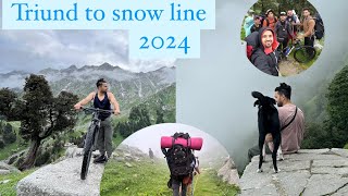 Triund to Snowline Trekking  Mcleodganj [upl. by Amena]