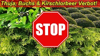 Thuja Buchs amp Kirschlorbeer Verbot im Garten in Deutschland  Koniferen Buchsbaum amp Co verboten [upl. by Pfeffer]