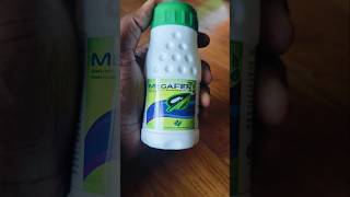 Insect ka best solution short shorts insects farming agriculture agricultureshorts viralshort [upl. by Enneire]