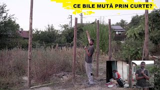 ARTHUR A SCHIMBAT PLANUL CU NOUL PALAT DE LUX🏰  Ce BILE mută prin curte😂 [upl. by Lynnelle]