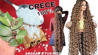 🌿MEZCLA ESTOS INGREDIENTES Y TU CABELLO CRECERÁ COMO LOCO😍100 NATURAL [upl. by Pruter]