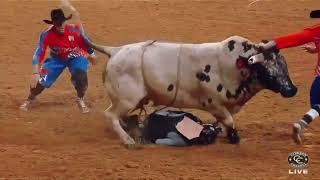 2023 Rodeo Houston Bullfighting [upl. by Sachsse]