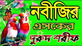 নবীজির এসকে হৃদয় শীতল করা দুরুদ শরীফ  Bangla Notun Duru sharif 2024 [upl. by Ttsepmet]