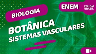 BIOLOGIA – Botânica – Sistemas Vasculares ENEM [upl. by Neetsirhc]