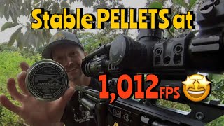 RangeVLOG  We Did It Cheap Pellets at Slug Speed amp Performance [upl. by Edya728]