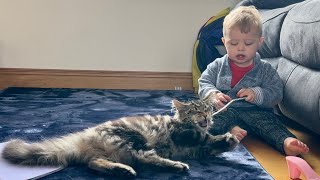 Adorable Baby Boy Plays With Kitten So Cute [upl. by Dagny145]