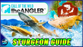 Shovelnose Sturgeon GUIDE  How to Catch a Diamond Sturgeon  Call of the Wild the Angler [upl. by Eliathas]