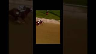 Secretariat’s Kentucky Derby Win  secretariat thoroughbredhorse equestrian fypシ [upl. by Andriana]