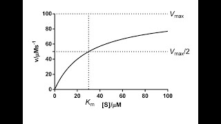 Enzyme kinetic michaelis menten and lineweaver burk plot بالعربي [upl. by Divine176]