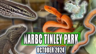 Tinley Park Reptile Expo October 2024 [upl. by Yllod181]