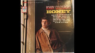 Bobby Goldsboro  Honey 1968 [upl. by Aelram]