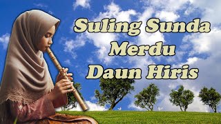 Suling Sunda Merdu Pengantar Tidur  Daun Hiris  Kecapi suling sunda  Traditional Music [upl. by Nerita357]