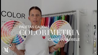 Cómo saber tu colorimetría parte 22 PALETAS CALIDAS coloranalysis colorimetria maisonaubele [upl. by Gona391]