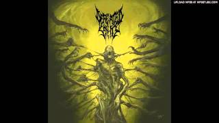 Defeated Sanity  Verblendung Passages Into Deformity NEW [upl. by Enawtna]