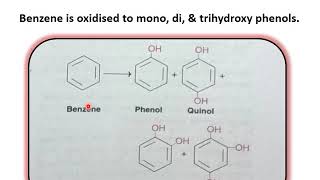 Xenobiotics in hindi [upl. by Devitt]