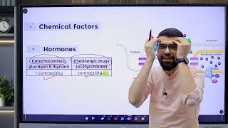 CVS 4 Contractility Part 2 Factors affecting [upl. by Elvira170]