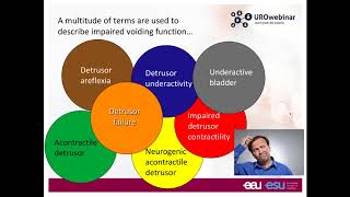 Urowebinar Underactive bladder  The story so far [upl. by Noyerb]