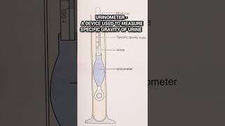 Urinometer l Urine Test urine medical pathology biochemistry lab shorts [upl. by Harrietta]