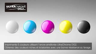 SureColor F2200  Solution d’impression hybride DTG et DTFilm EPSON [upl. by Asaert]