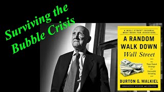 Surviving Market Bubbles Like a Pro A Random Walk Down Wall Street Audiobook Ch 4 Summary [upl. by Evatsug710]